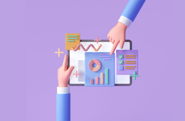 Custom Software Application Development